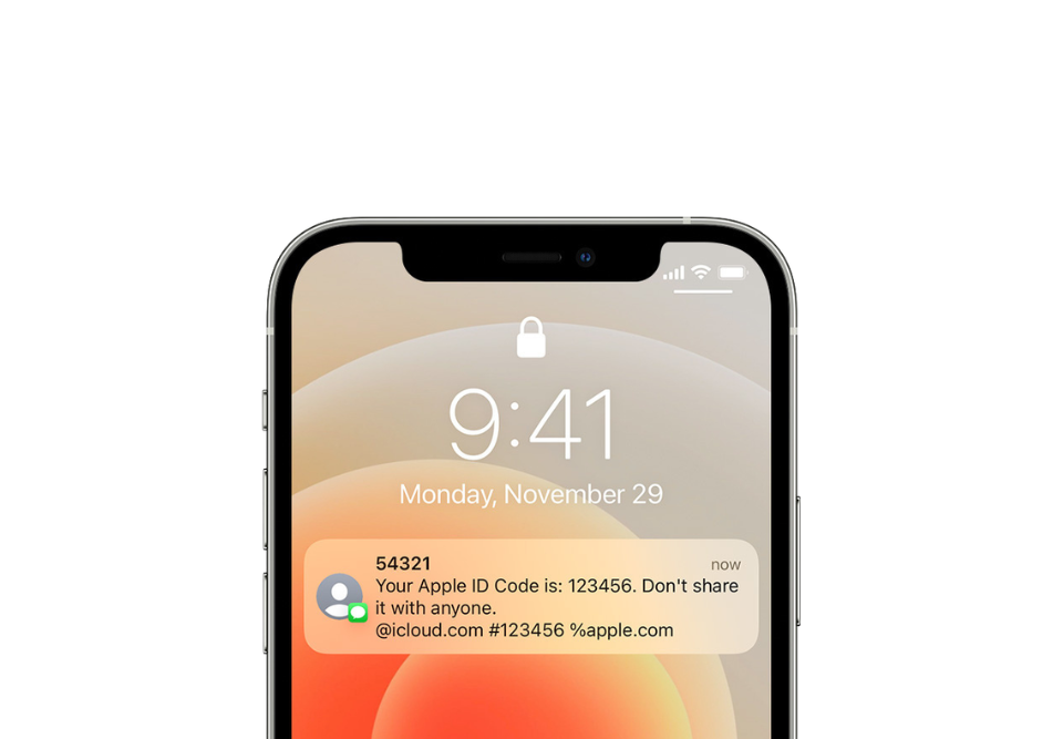 Verification Code on iPhone